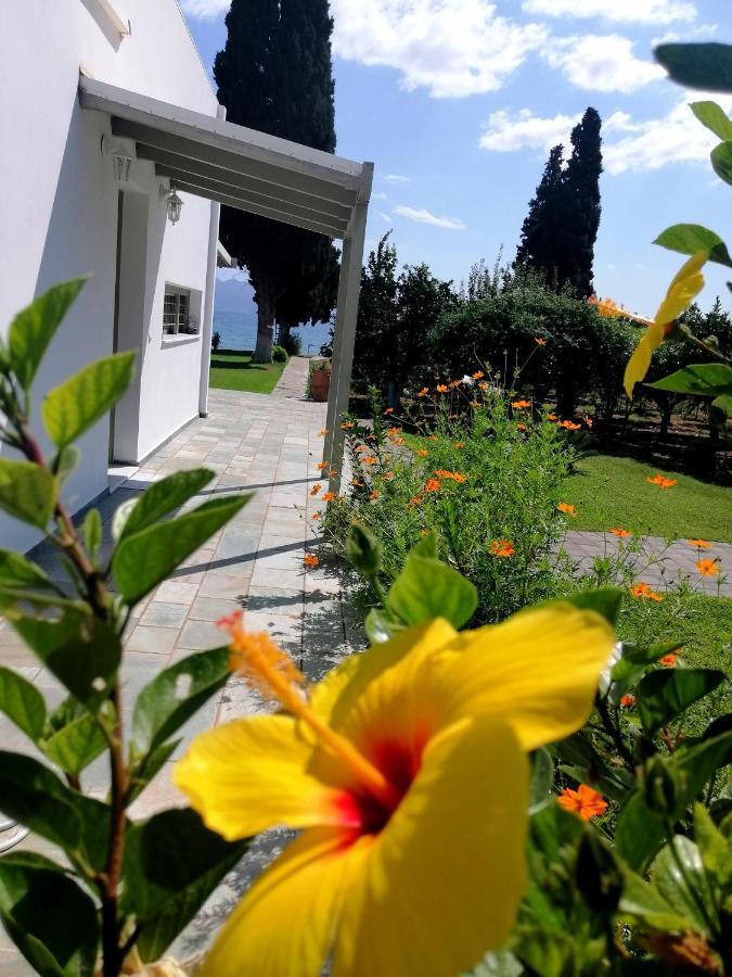 Villa Maria Epidaurus Bagian luar foto